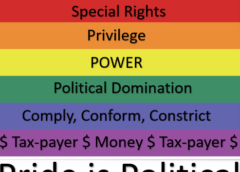 It Ain’t No Rainbow – Pride is Political part 1